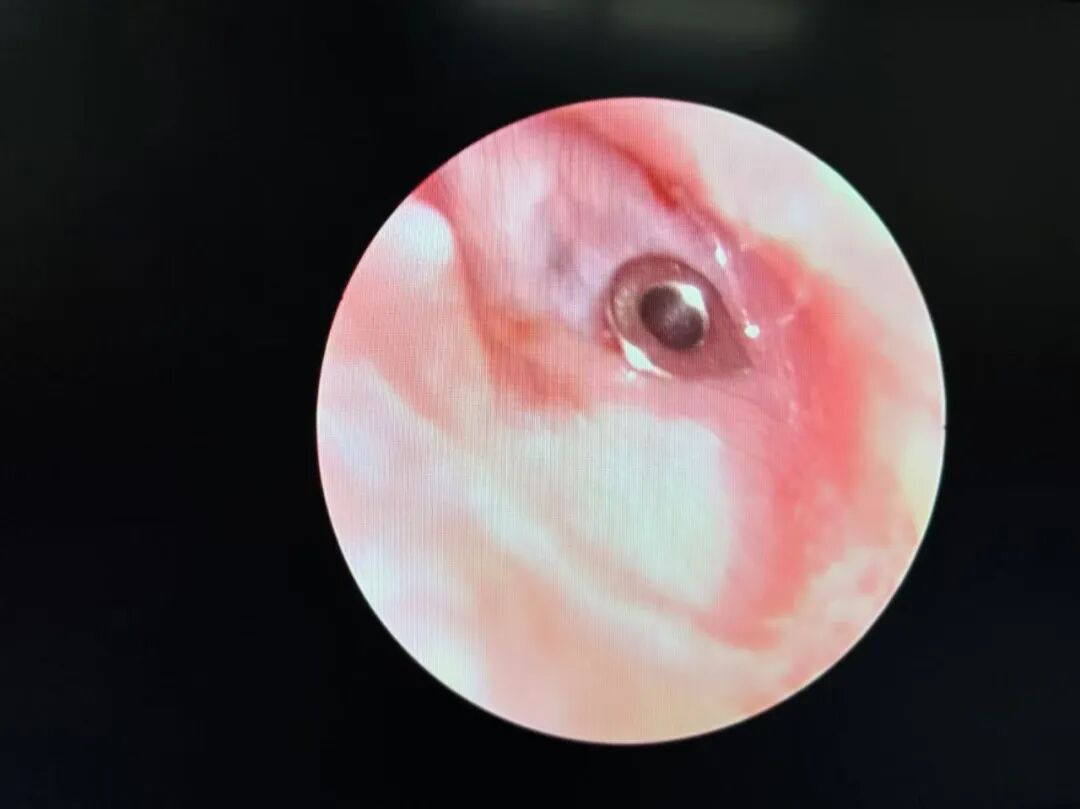 640 (1).jpg 640 (1).jpg